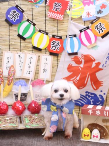 20240724サクラちゃん